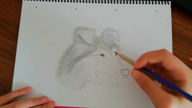 Adım Adım Köpek Nasıl Çizilir...En Kolay Köpek Çizimi...How To Draw a Dog... step by step смотреть онлайн