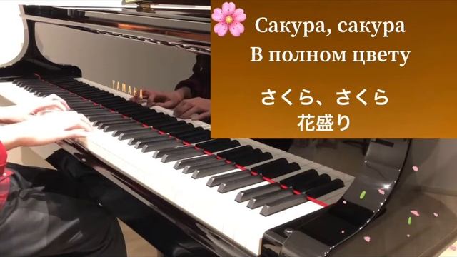 Фортепиано. Японская народная песня. Сакура Сакура ピアノ演奏日本民謡さくらさくら