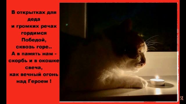 Кот МОСТИК. На исходе весны..Фотостишье смотреть онлайн