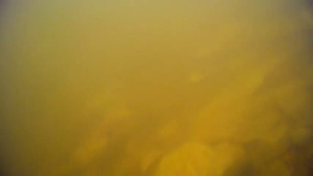 Поведение щуки. Съемка щуки под водой смотреть онлайн