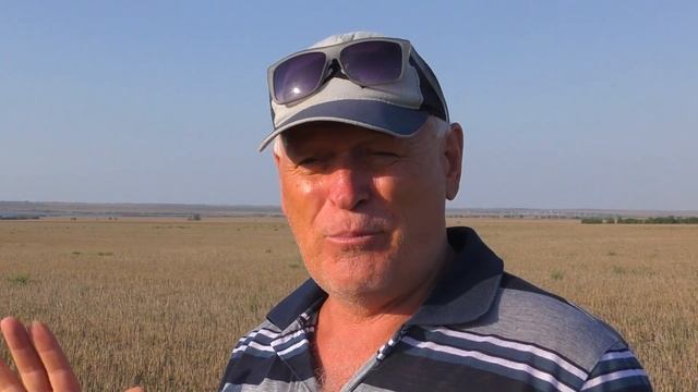 ДРОФА - величественная птица !!! И одна из самых больших !!! смотреть онлайн