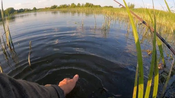 Обзор воблера TsuYoki Sanitar 125F. Тест летними щуками 🎣🎣🎣