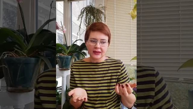 Удобрения для орхидей ( и не только) смотреть онлайн