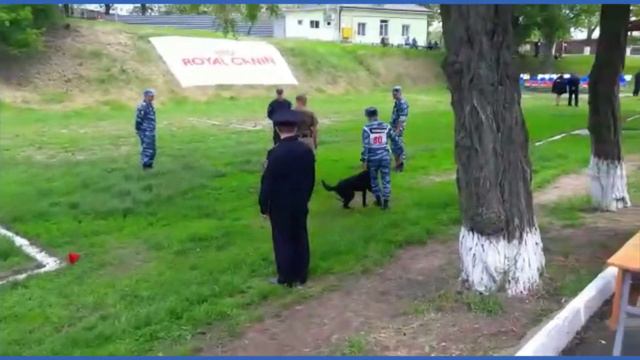 Межведомственные соревнования кинологов Юга России Кулов Алан и немецкая овчарка Ромми смотреть онлайн