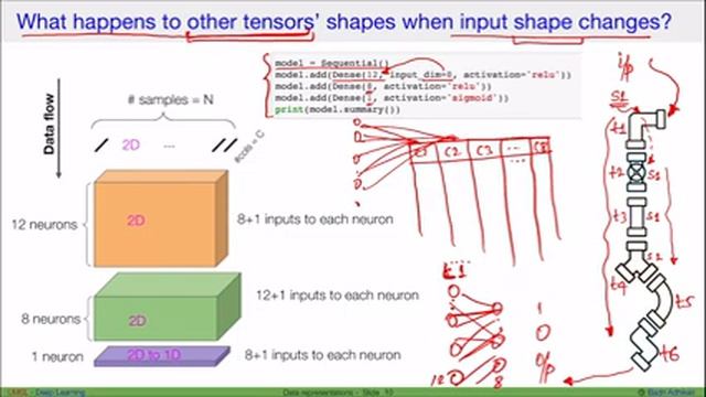 [DL] Tensors reshape automatically смотреть онлайн