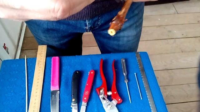 Правильное бороздование черенков перед постановкой на окоренение смотреть онлайн