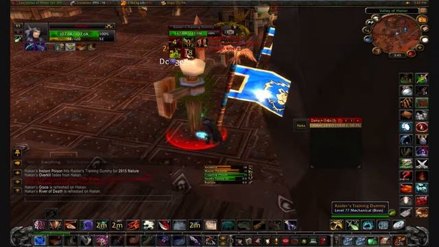 Assassination Rogue Guide смотреть онлайн