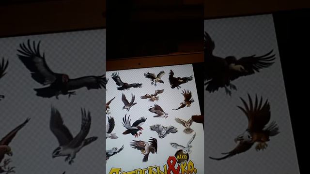 Моя коллекция ( Ястребы эко макси ) смотреть онлайн