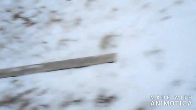 Просто гагара сидит возле дома смотреть онлайн