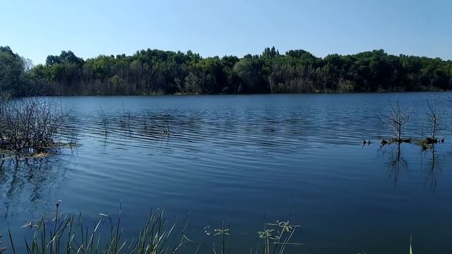 23 августа-ЛАВРЕНТЬЕВ день.Как узнать свою судьбу на ближайшие 12 лет. Праздник мельника.Приметы смотреть онлайн