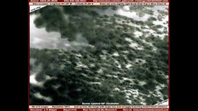 Trees on Mars? Strange Images of Something They Hide From Us смотреть онлайн