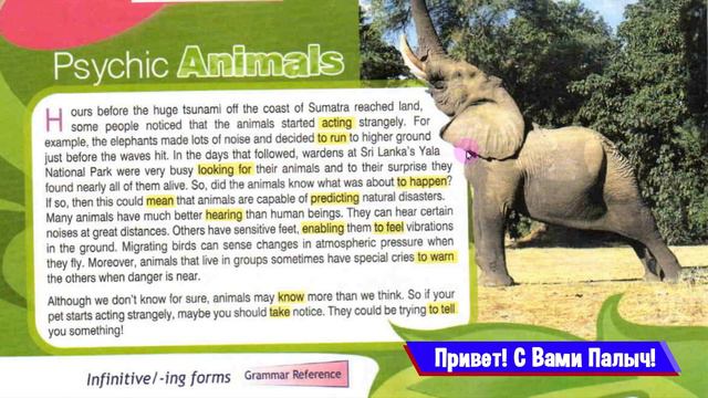 Spotlight 8 Модуль 5C. Grammar in Use 1. Infinitive/-ing Forms. смотреть онлайн