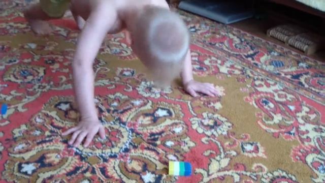 Как вырастить чемпиона, научить отжиматься и посадить на шпагат? смотреть онлайн