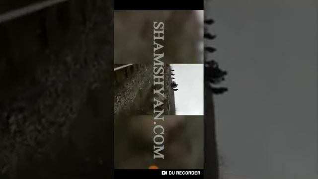 Езиды, это надо видить!😳😱😨 смотреть онлайн