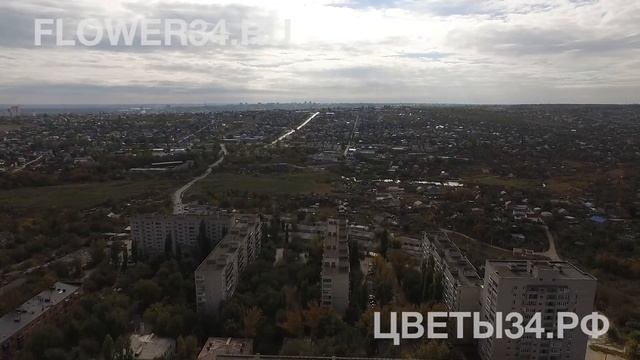 Доставка цветов по воздуху квадрокоптером в Волгограде смотреть онлайн