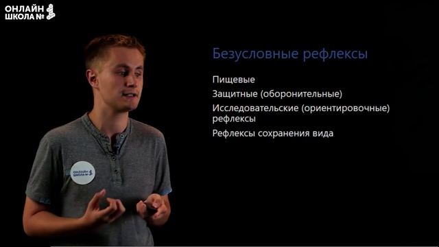 Образование и торможение условных рефлексов. Видеоурок 29. Биология 8 класс смотреть онлайн