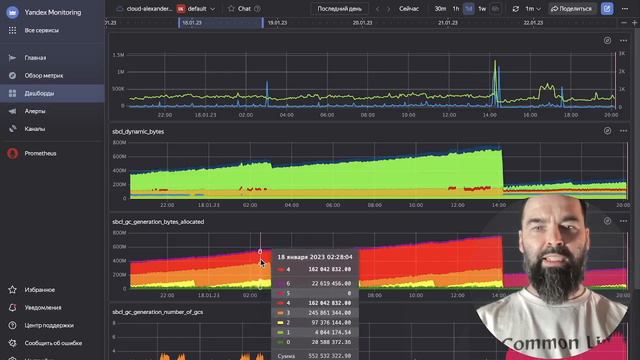 Мониторить Common Lisp Запросто смотреть онлайн