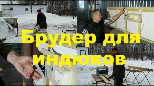 Брудер для индюков своими руками