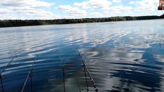 Рыбачим на Соску и Убийцу карася. Лиса пришла в гости... смотреть онлайн