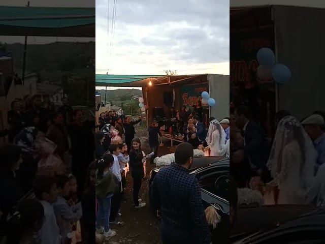 кусочек со свадьбы в Дагестане смотреть онлайн