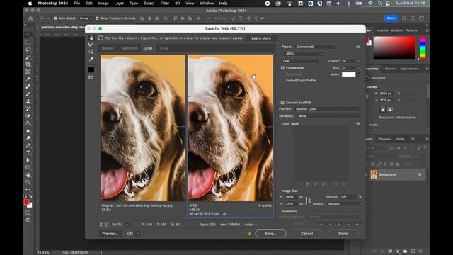 How To Save JPG For Web In Photoshop And MASSIVELY Reduce File Size смотреть онлайн