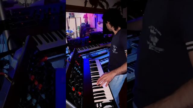 Minimoog Model D 2022, LINNDRUM, and Prophet 5 смотреть онлайн