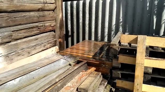 Весёлый пёс. Прикол-Ржака смотреть онлайн