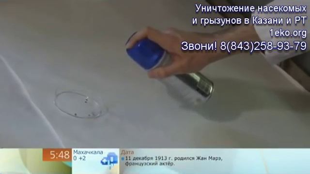 Как травить клопов в квартире в Казани смотреть онлайн