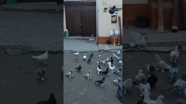 10 ноября 2022 г. смотреть онлайн