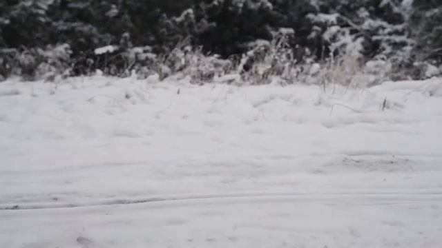 Прогулка на снегоходе Насти Бострем. Лавка Чудес. Саратов