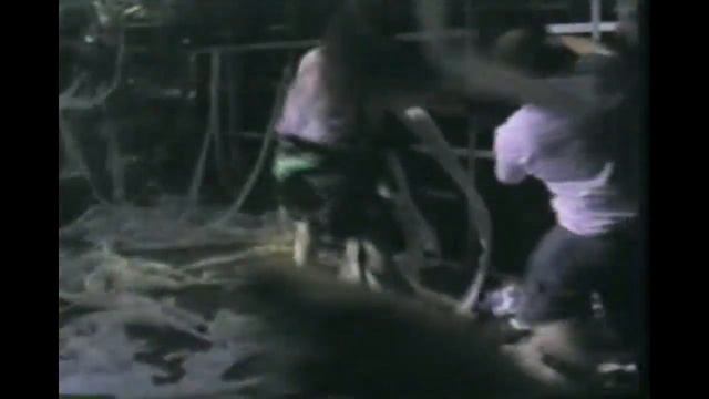 Type O Negative messing with Pantera onstage смотреть онлайн