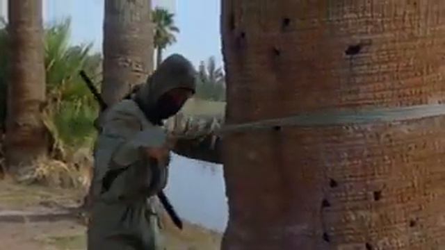 НИНДЗЯ - 3  ДУХ НИНДЗИ