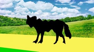 травоядные животные для детей - цветные животные для детей | BonBi TV