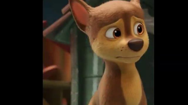 Paw Patrol Memes🤣