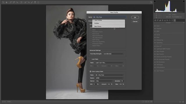 How to Install Color Lookup Tables (LUTs) in Lightroom смотреть онлайн
