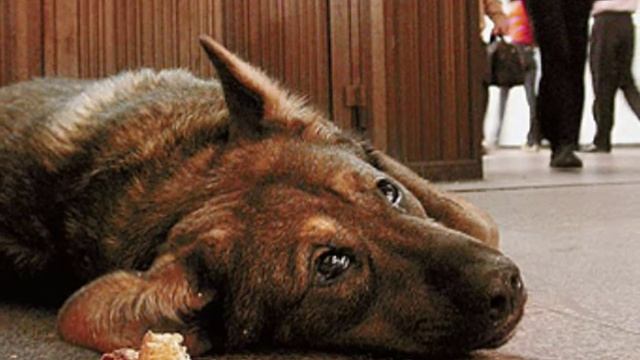 "На кольцевой".wmv смотреть онлайн