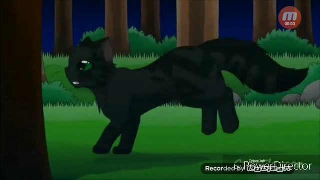 [Коты-Воители клип] Патрон ~Горелый~ смотреть онлайн