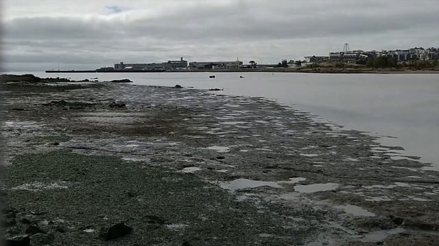 How to Catch Pile Worms and Keep them Alive!