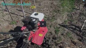 Как открывать дачный сезон Открытие огородного сезона