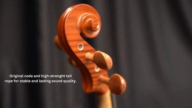 Spicato V301 4/4 Full Size Intermediate Violin Package смотреть онлайн