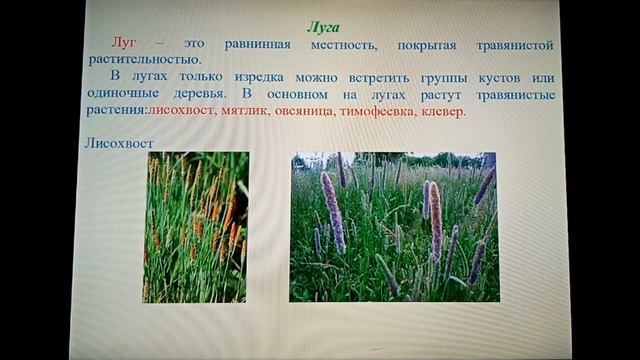 Природоведение 4 класс. Лесостепь (продолжение). смотреть онлайн