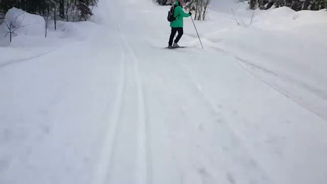 лыжная прогулка в лесу смотреть онлайн