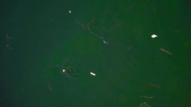 Как правильно прыгать в воду на карьере с 9 метров смотреть онлайн