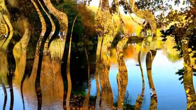 В старом парке Кёнигсберга. Im alten Koenigsberg-Park/ смотреть онлайн