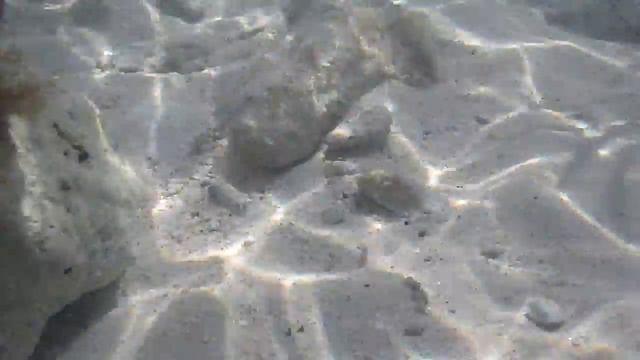 Карибское море смотреть онлайн