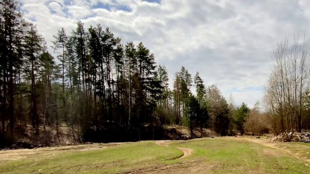 ПРОГУЛКА В НОВОМ МЕСТЕ смотреть онлайн