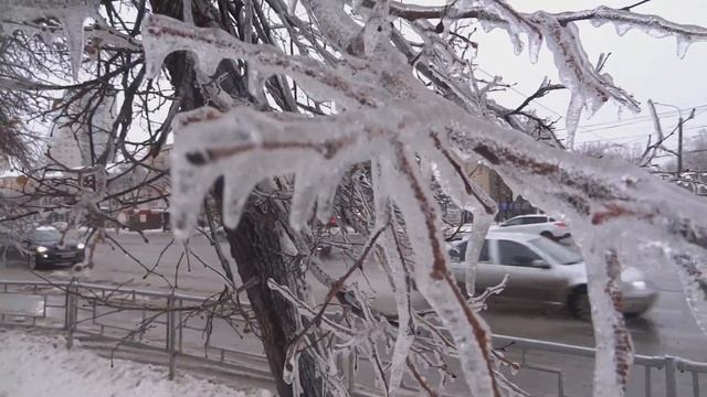 город уфа после ледяного дождя 19 12 2022.сильный ветер .деревья с коркой льда везде.редкое явление смотреть онлайн