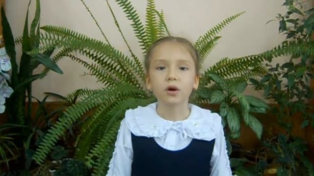 Страна читающая — Екатерина Жидких читает произведение «Закон доброты» Е.Андреевой смотреть онлайн