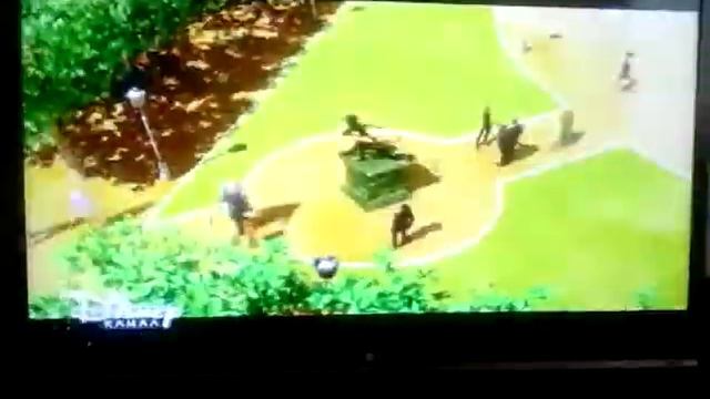 - леди баг и супер кот смотреть онлайн