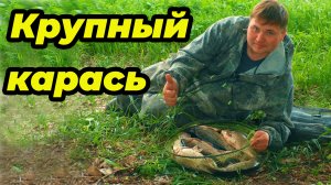 Фидер на сильном течении. Крупный карась на реке Дон! Секреты мощной поклёвки!